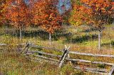 Autumn Split-rails_23460